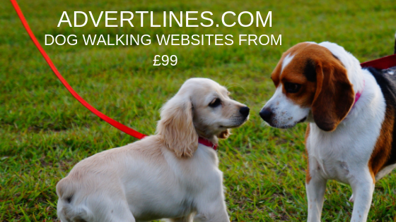 Dog Walking Websites